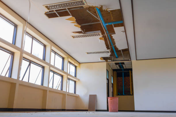 Best Water damage restoration near me  in Leland, MS