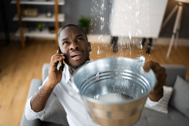 Best 24-hour water damage restoration  in Leland, MS