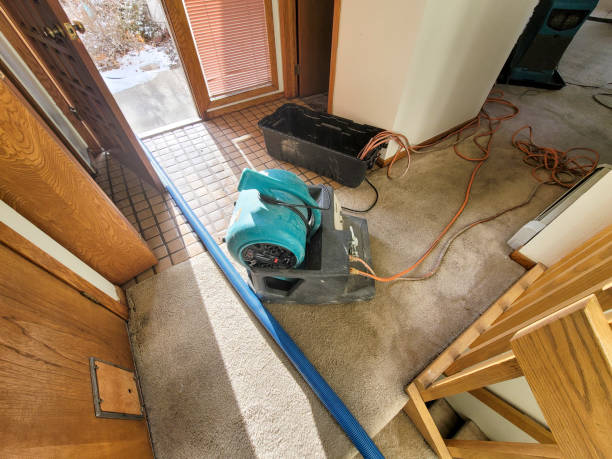 Best Professional water damage repair  in Leland, MS