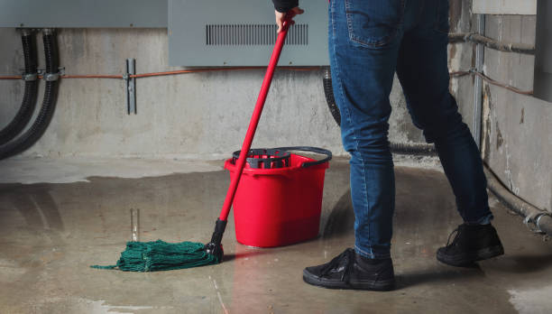 Best Sewage cleanup and water damage restoration  in Leland, MS