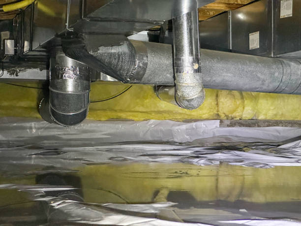 Reliable MS Water damage restoration Solutions
