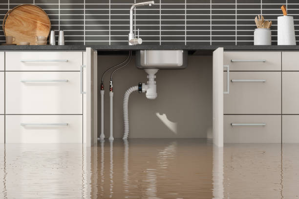 Best Water damage restoration near me  in Leland, MS