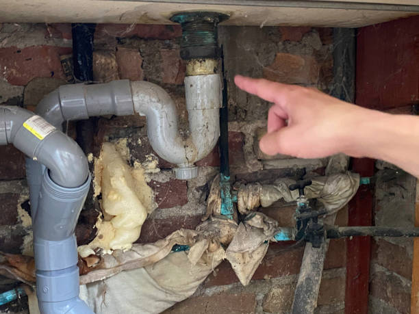 Best Water damage restoration near me  in Leland, MS